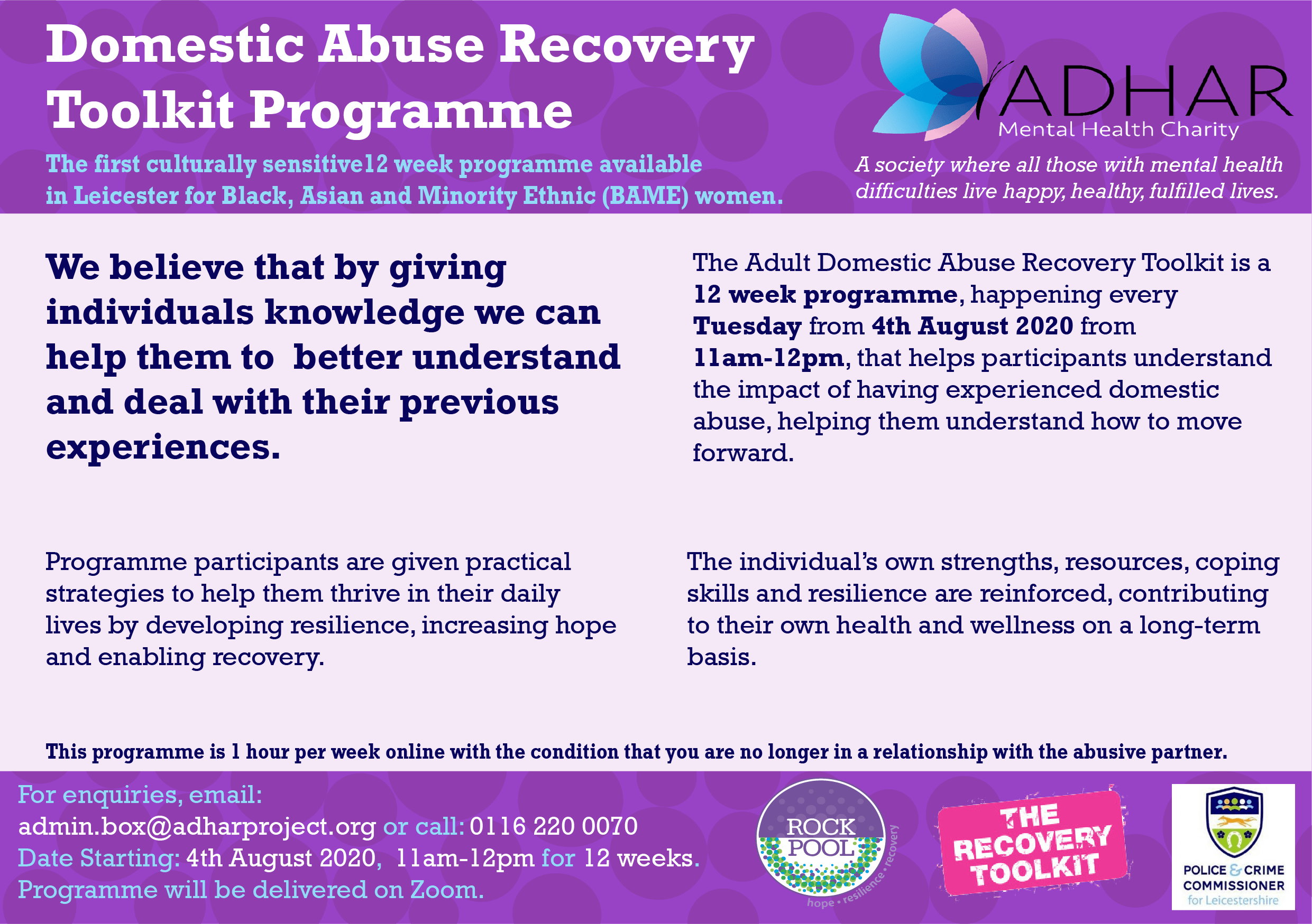 Domestic Abuse Programme Poster